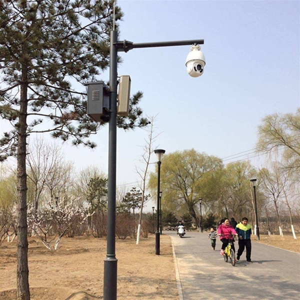 五家渠路灯监控杆-LB-03