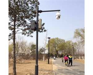 五家渠路灯监控杆-LB-03